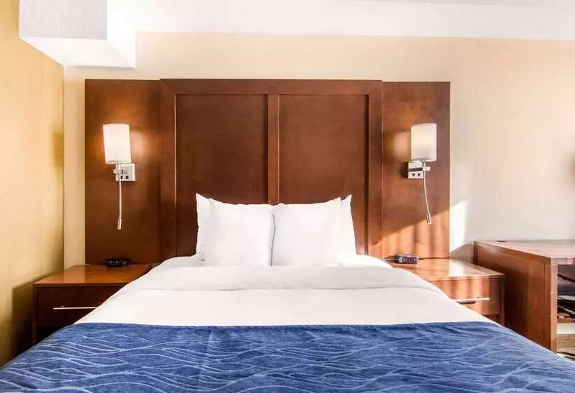 호텔 Comfort Inn & Suites