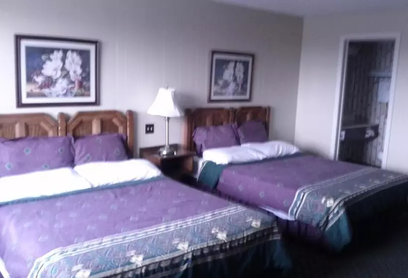 酒店 Diamond Motor Inn