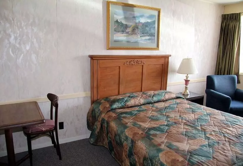 酒店 Diamond Motor Inn