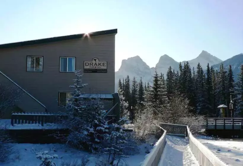 酒店 The Drake Inn