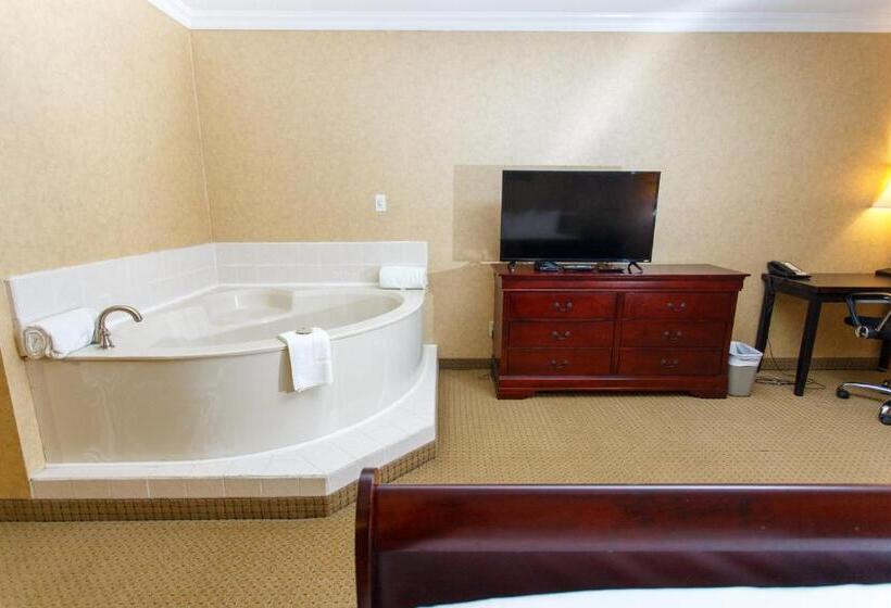 فندق The George Dawson Inn & Conference Centre