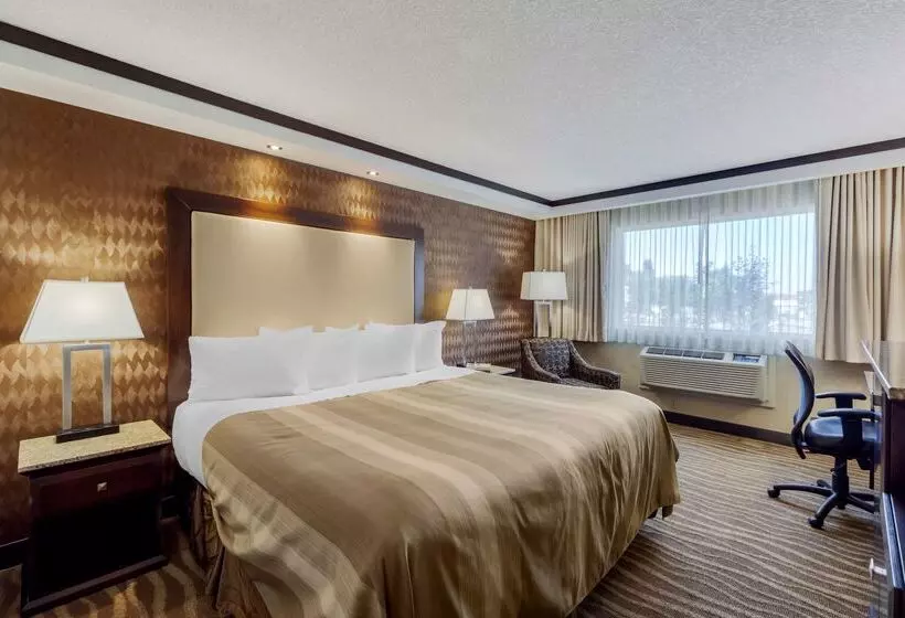 ホテル Best Western Plus Edmonton Airport