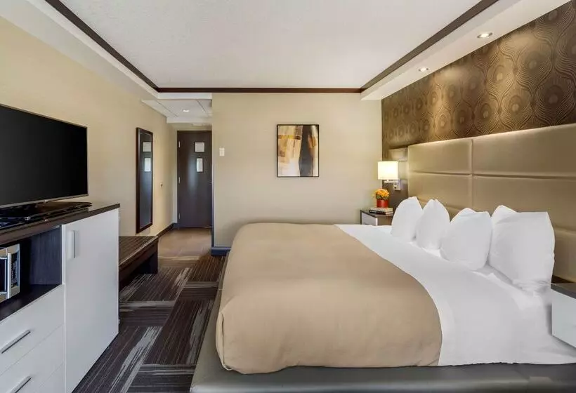 ホテル Best Western Plus Edmonton Airport