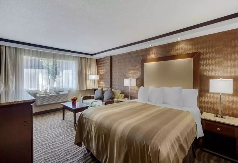 ホテル Best Western Plus Edmonton Airport