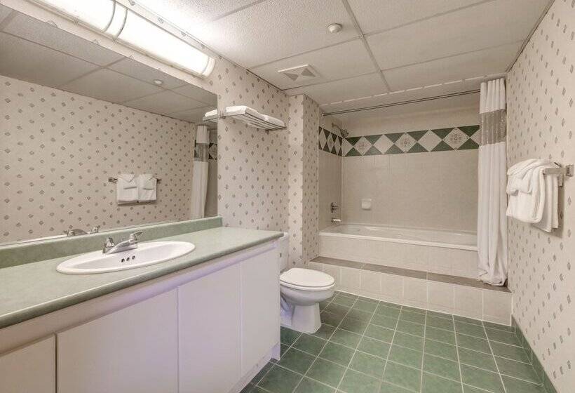 酒店 Harrison Lake