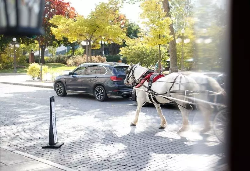 Отель Manoir D Auteuil