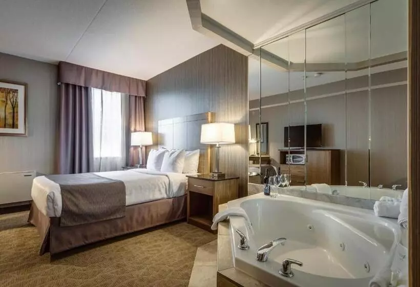 酒店 Monte Carlo Inn Airport Suites