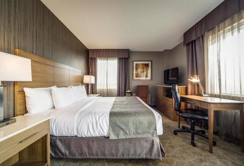 Hotel Monte Carlo Inn Airport Suites