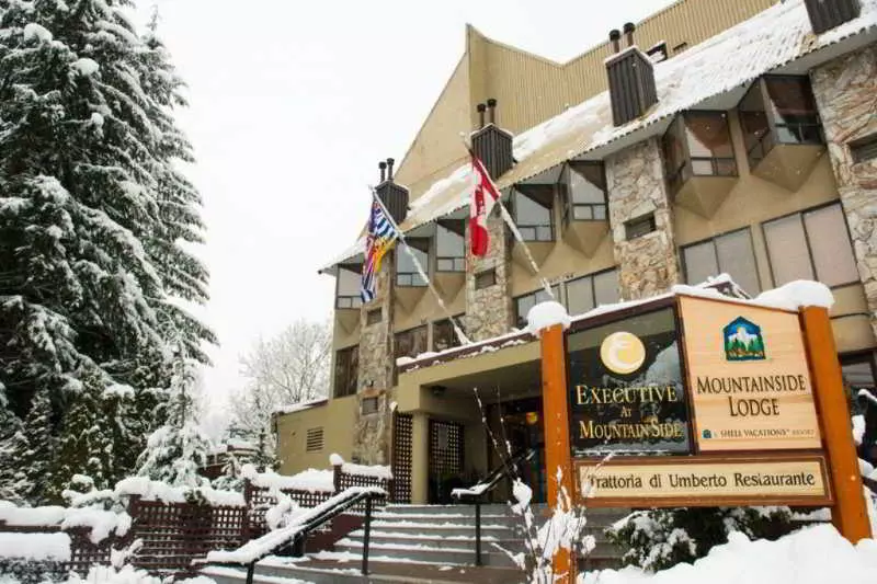 ホテル Mountainside Lodge