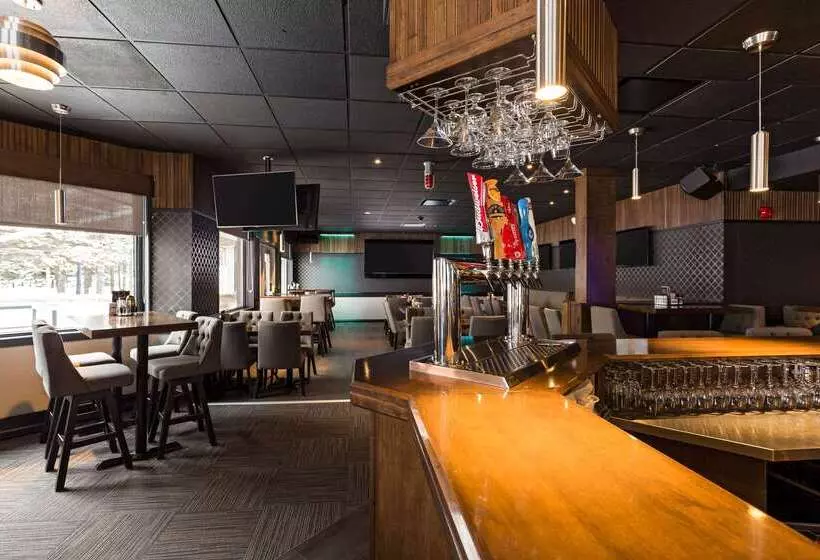 酒店 Quality Inn & Suites