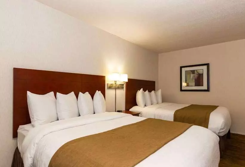 酒店 Quality Inn & Suites