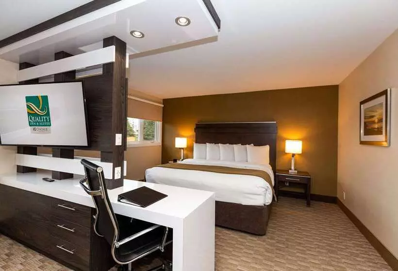 酒店 Quality Inn & Suites