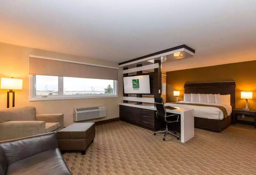 酒店 Quality Inn & Suites