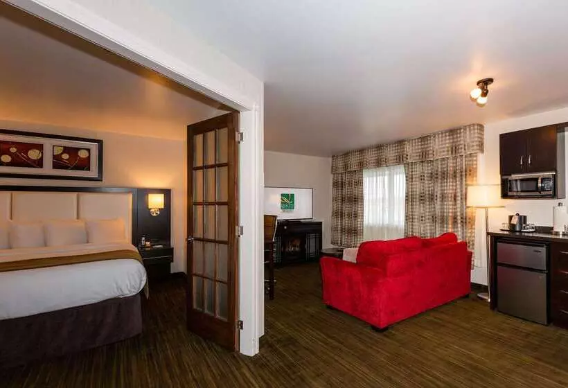 酒店 Quality Inn & Suites