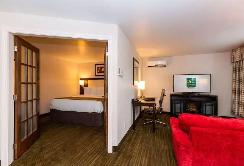 酒店 Quality Inn & Suites
