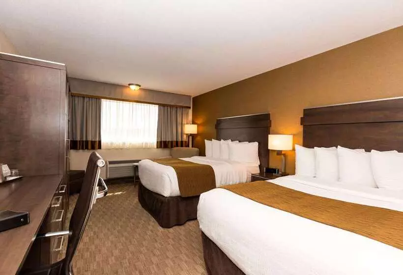 酒店 Quality Inn & Suites