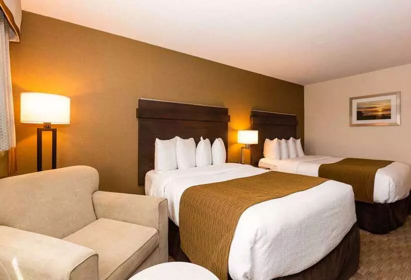 酒店 Quality Inn & Suites