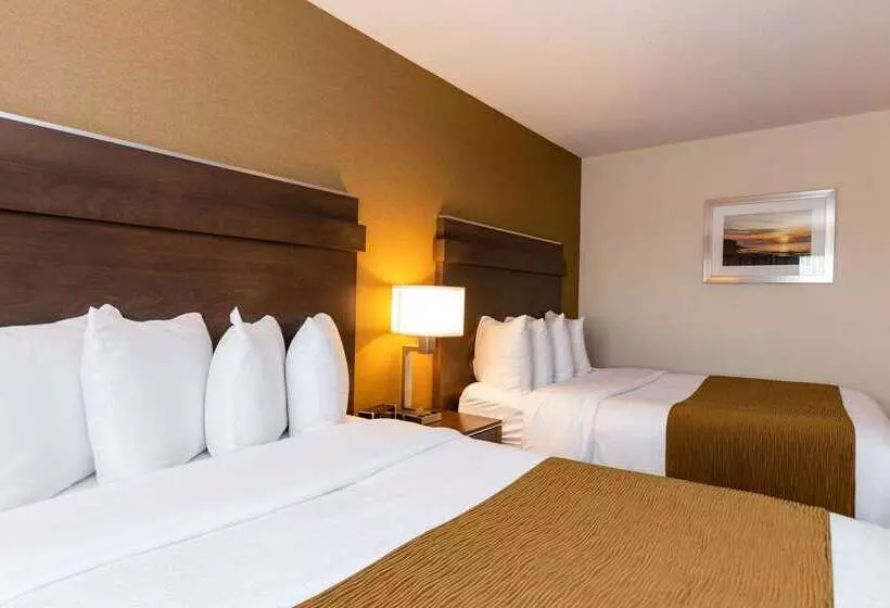 酒店 Quality Inn & Suites