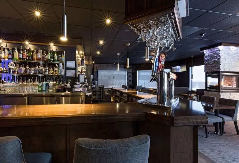 酒店 Quality Inn & Suites