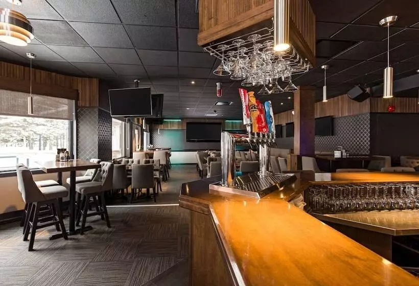 酒店 Quality Inn & Suites