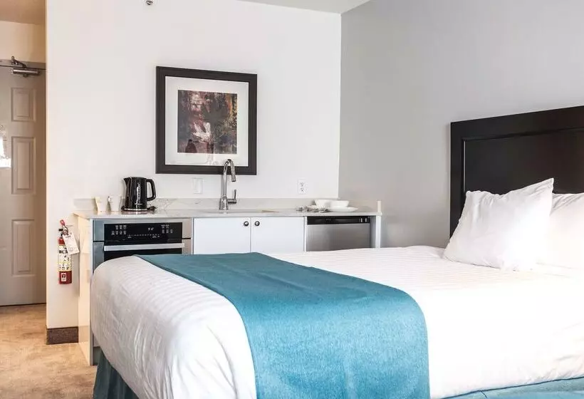 酒店 Ramada By Wyndham Surrey/langley