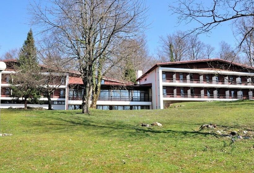 בית מלון כפרי Bellevue