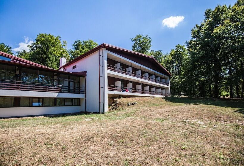 בית מלון כפרי Bellevue