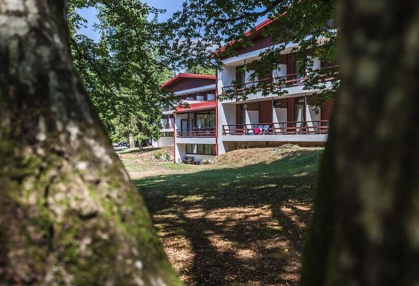 בית מלון כפרי Bellevue