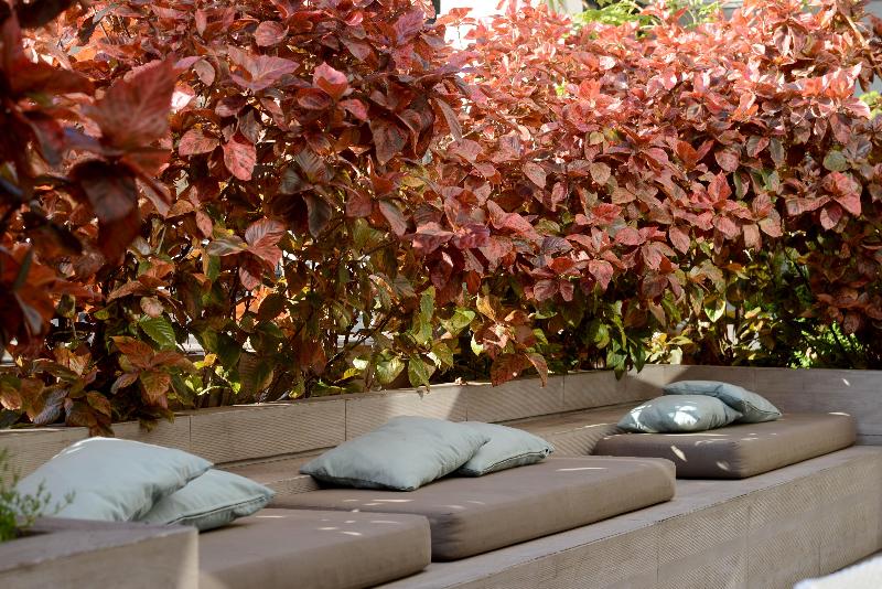 هتل Holiday Inn Express Antofagasta, An Ihg