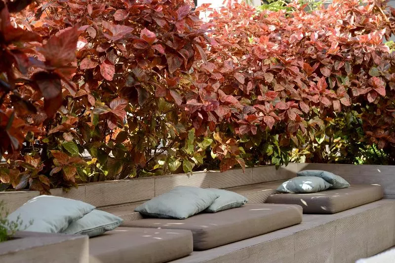 هتل Holiday Inn Express Antofagasta, An Ihg