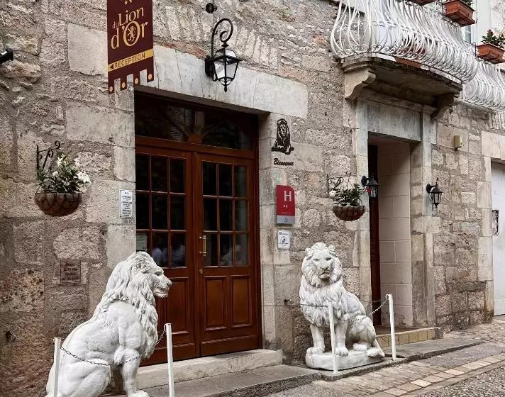 Отель Du Lion D Or