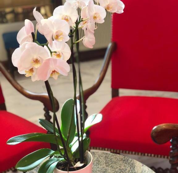 هتل Grand Hôtel D Espagne