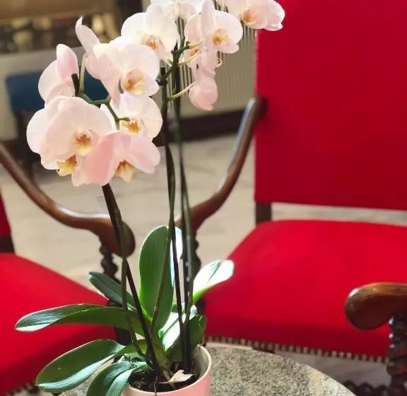 Hotel Grand Hôtel D Espagne