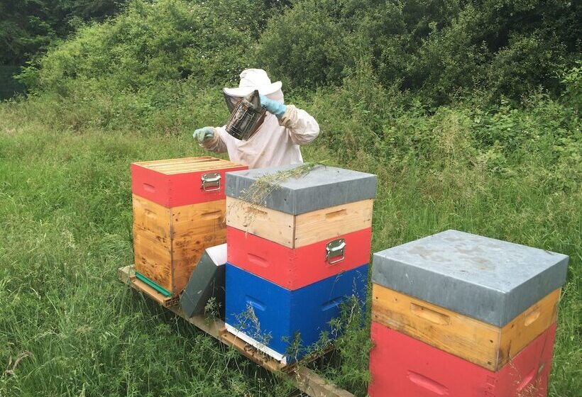 Novotel Marne La Vallee Collegien