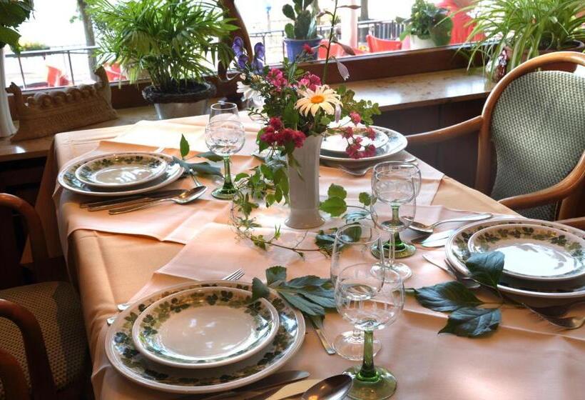 هتل Baudobriga Rhein