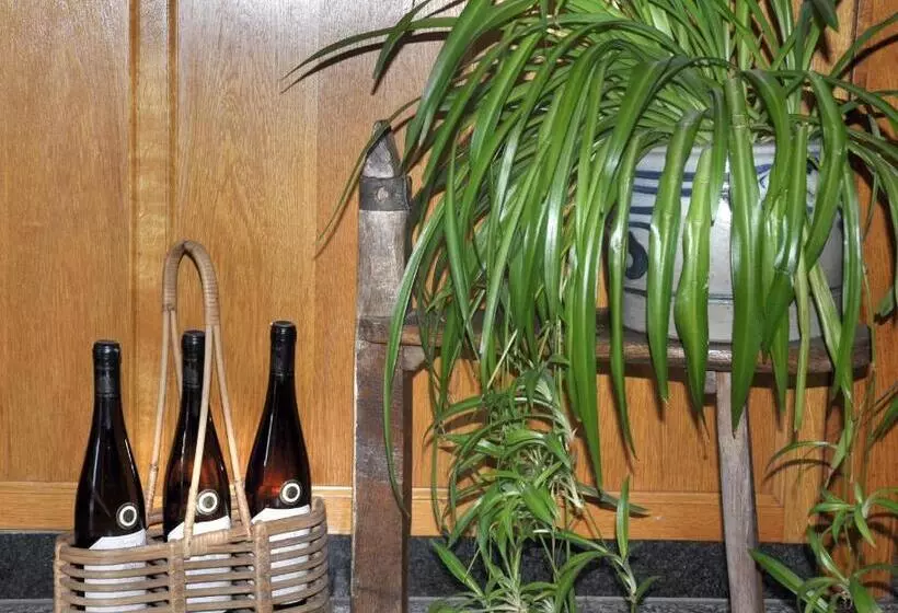 ホテル Baudobriga Rhein