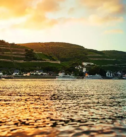 בית מלון כפרי Krone Assmannshausen