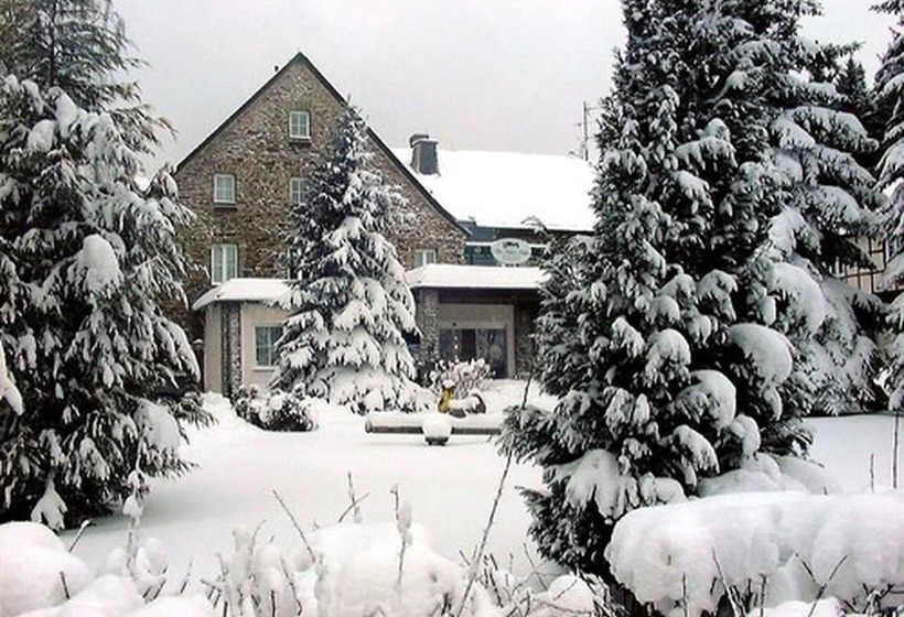 Sonnenhotel Hoher Hahn