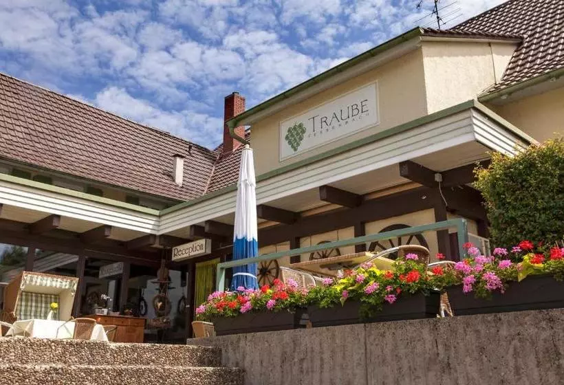 Отель Traube