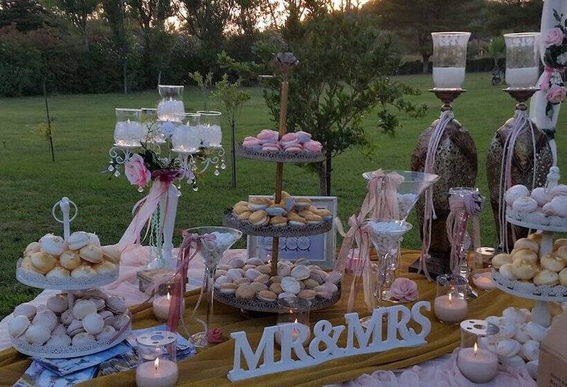 ホテル Amalia Olympia