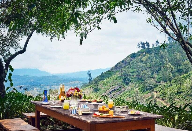 Bed and Breakfast Jetwing Warwick Gardens