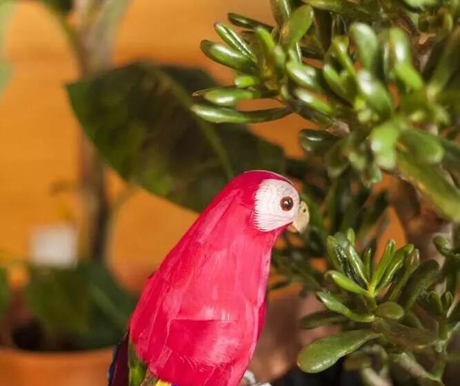 هتل Student Hostel