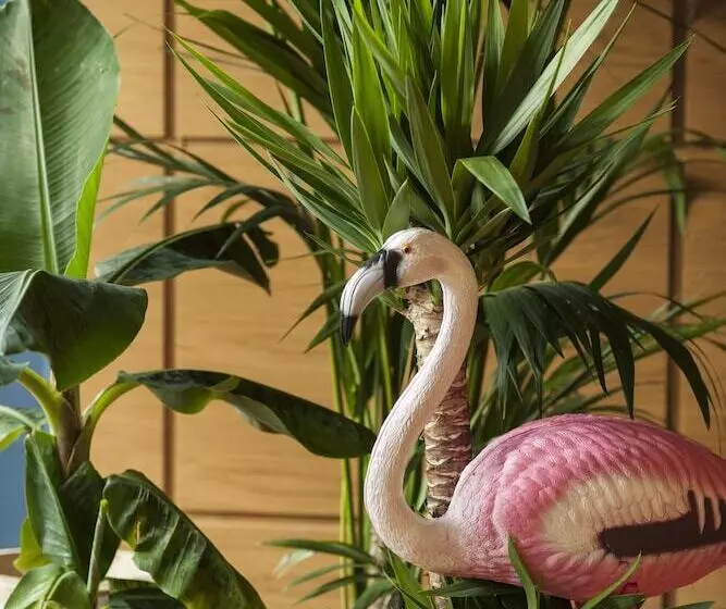 هتل Student Hostel