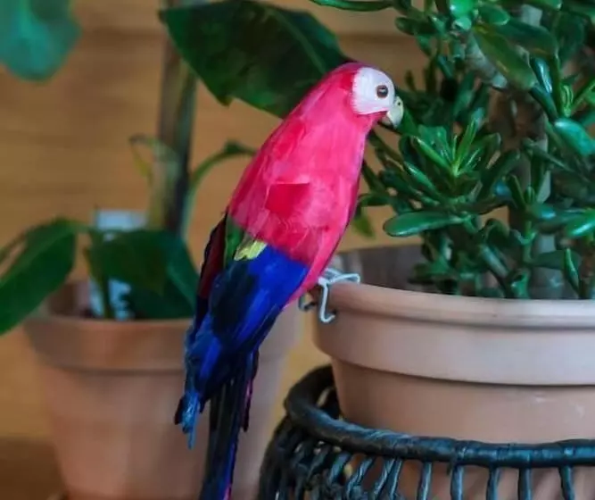 هتل Student Hostel