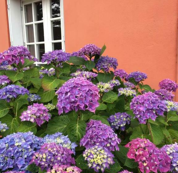 酒店 Hôtel La Belle Etoile