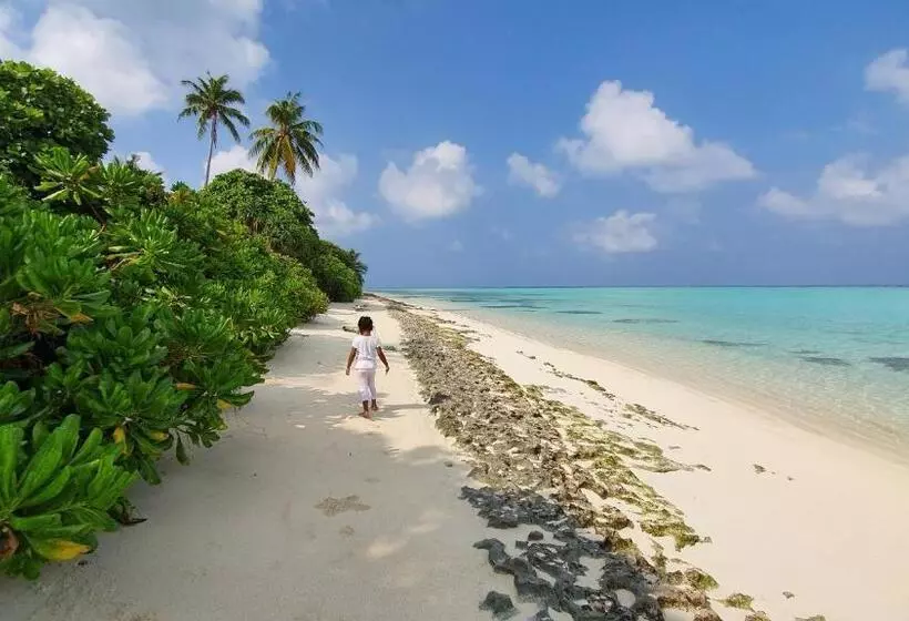 New Breeze Thoddoo Inn