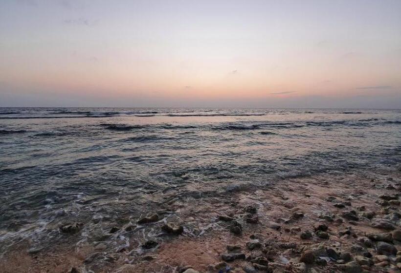 New Breeze Thoddoo Inn