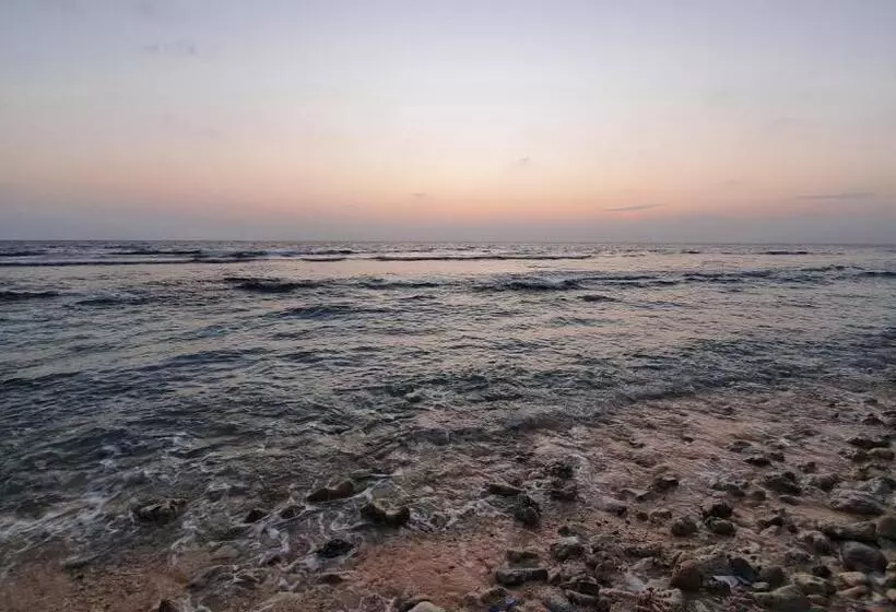 New Breeze Thoddoo Inn