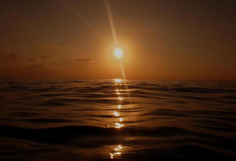 New Breeze Thoddoo Inn