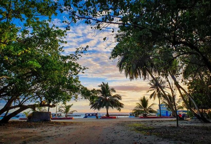 New Breeze Thoddoo Inn